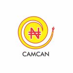 Agama, Kwarianga, Chukwu, other financial experts for CAMCAN 2024 workshop